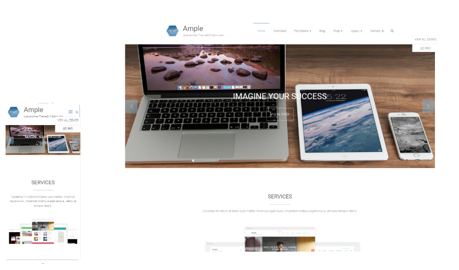 ample-demo-responsive-banner.png
