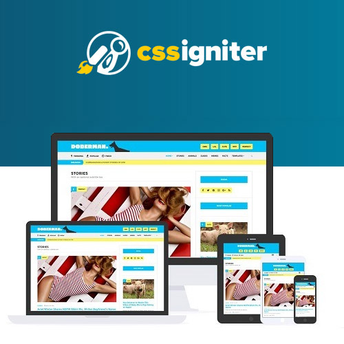 CSS-Igniter-Doberman-WordPress-Theme.jpg