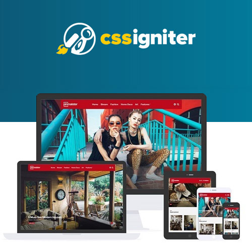 css-igniter-pinmaister-pinterest-like-wordpress-theme.jpg
