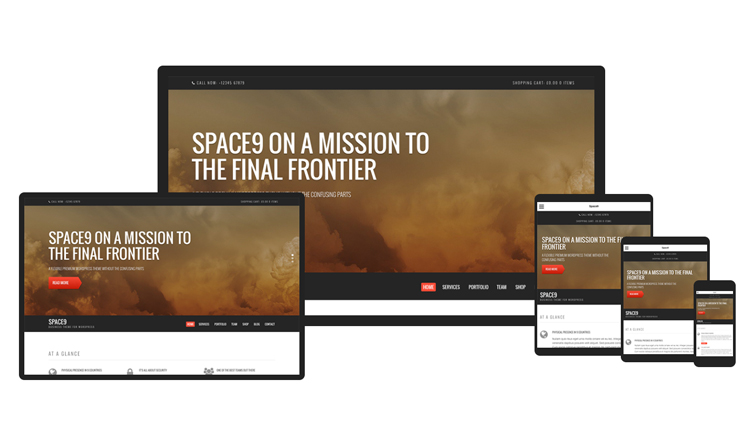 CSSIgniter-Space9-WordPress-Theme.jpg