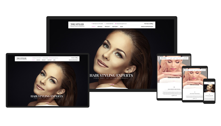 CSSIgniter-The-Styler-WordPress-Theme.jpg