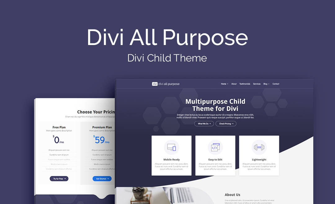 divi_space_theme_dap.jpg