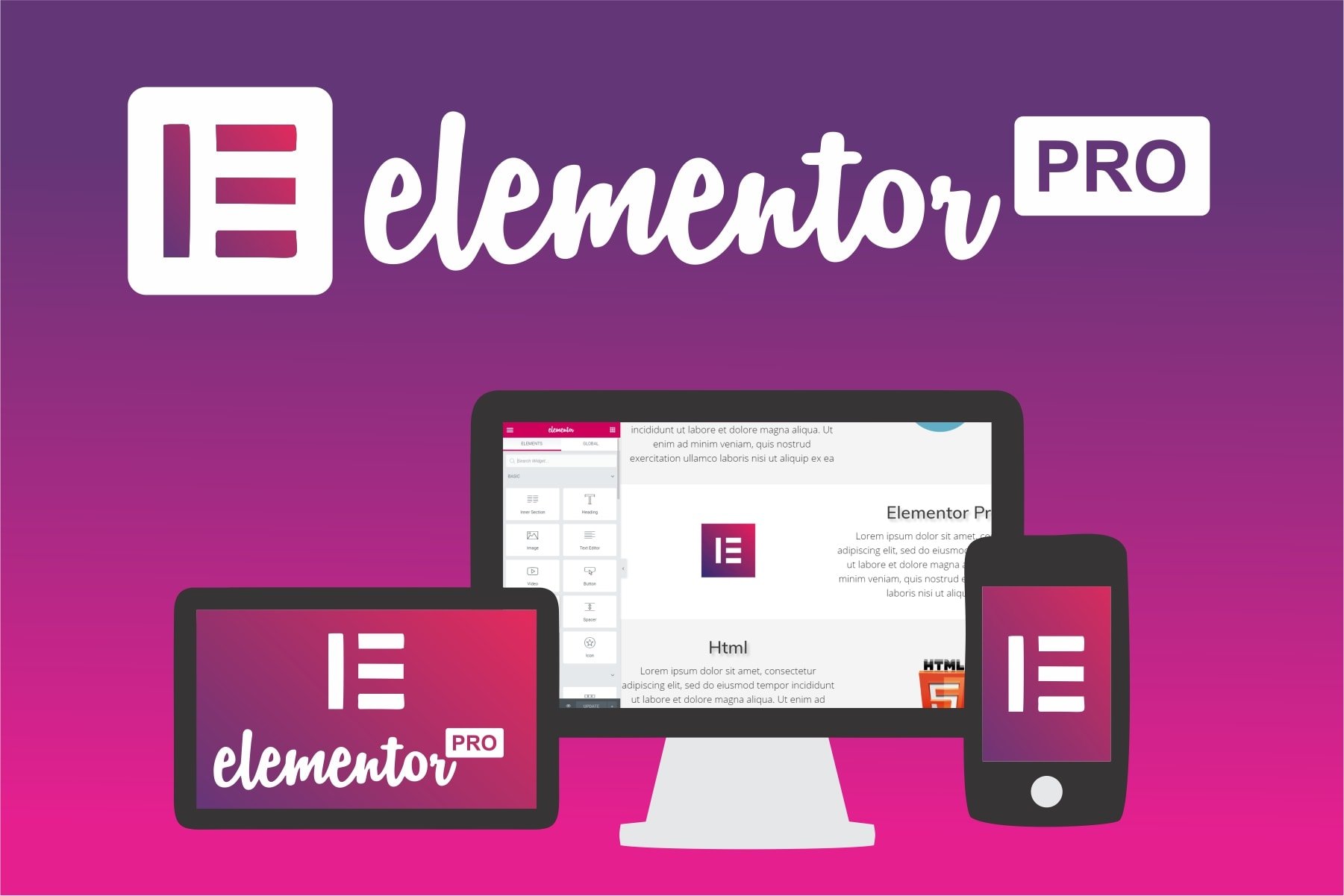 elementor pro.jpg
