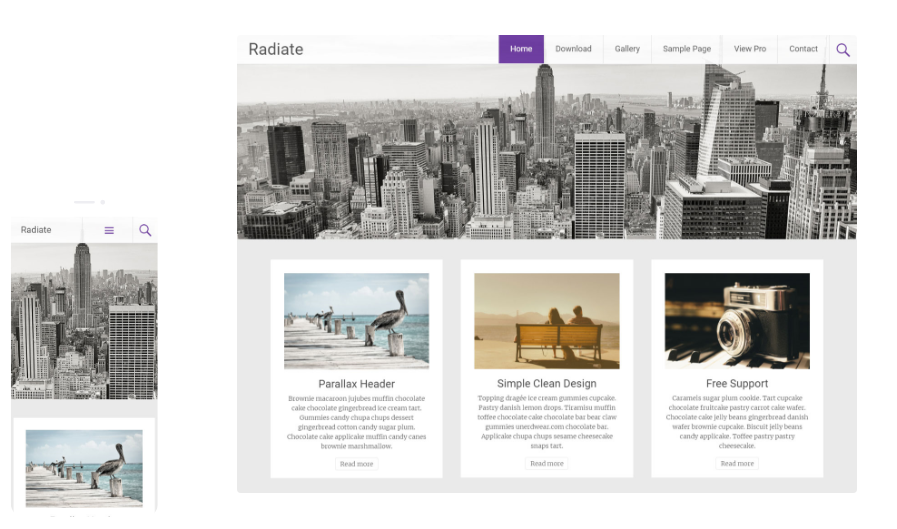 radiate-responsive-banner.png