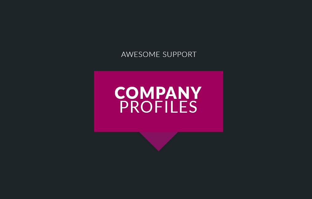 res_img_1746292390_82a8d4ea_AwesomeSupport_-Company_Profiles_NB.png