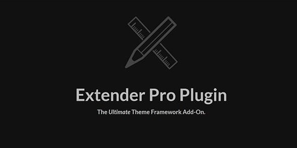 res_img_1746463949_59da9092_extender-preview.jpg