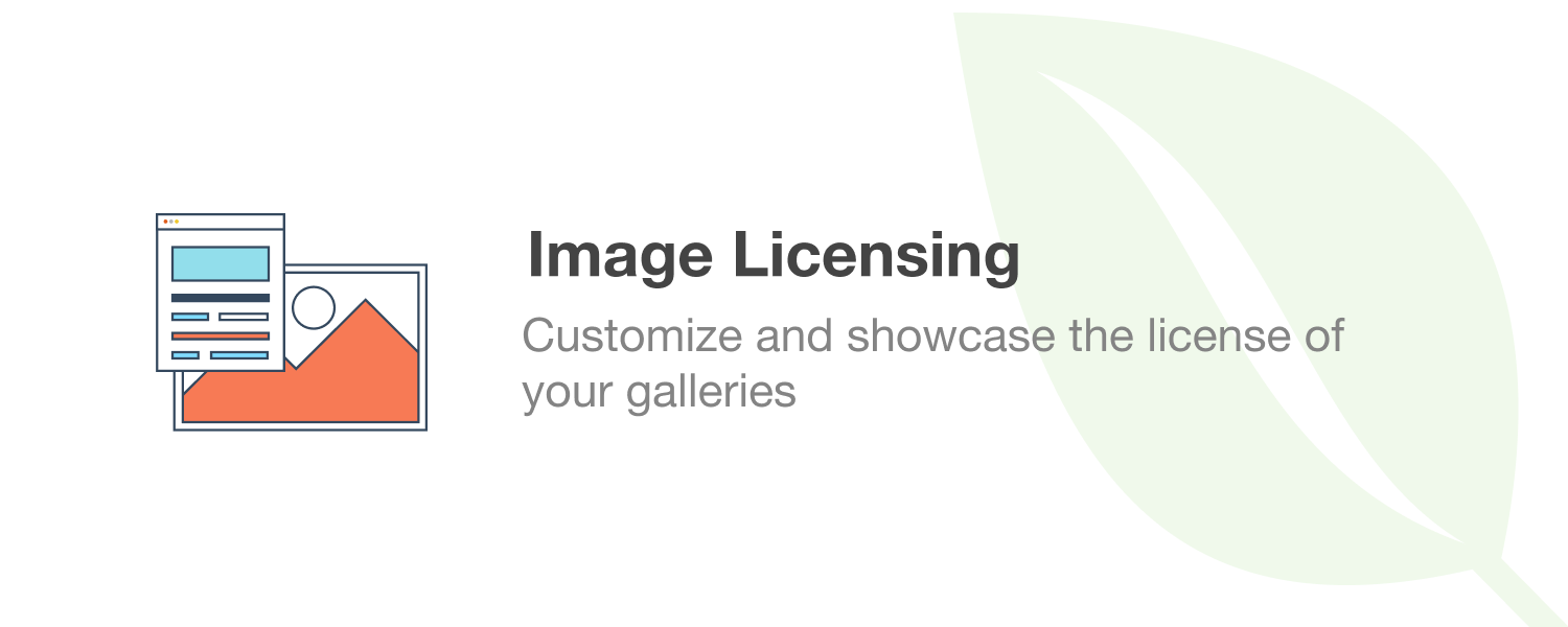 res_img_1747152746_be949f31_image-licensing.png