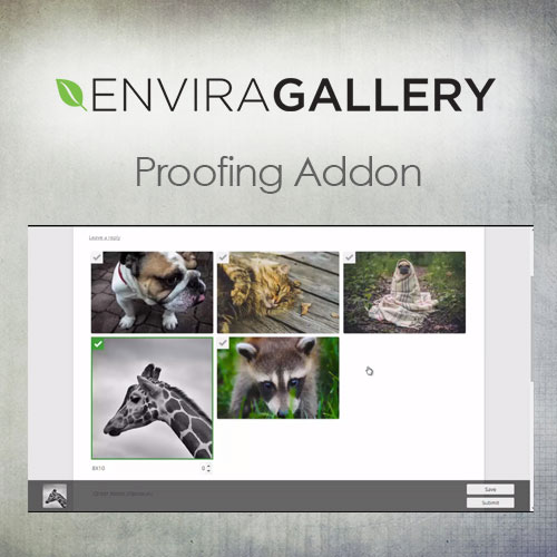 res_img_1747154348_e4fdab8d_Envira-Gallery--Proofing-Addon.jpg