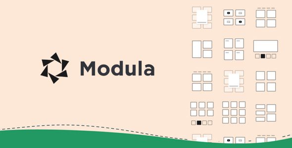 res_img_1748503161_42750425_Modula-Pro-WordPress-Gallery-Plugin.jpg