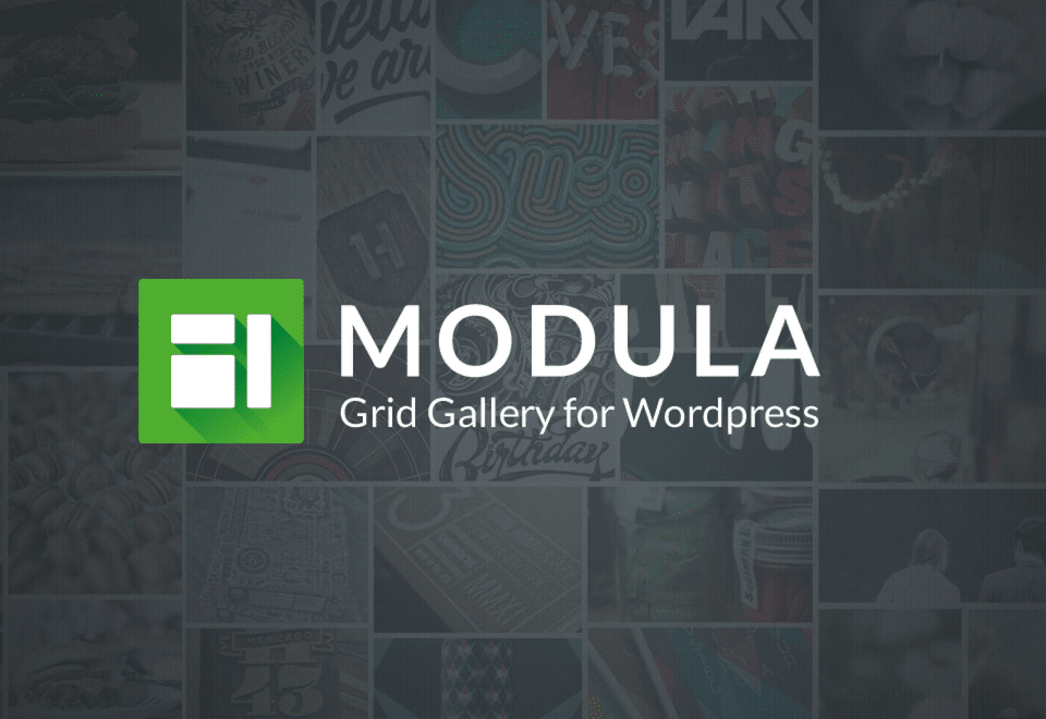 res_img_1748591986_73544f97_Modula-Grid-Gallery-for-WordPress.png