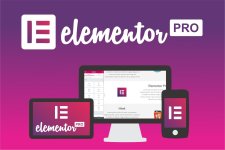 elementor pro.jpg