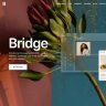 Free Bridge [ Latest ] - Creative Elementor and WooCommerce WordPress Theme